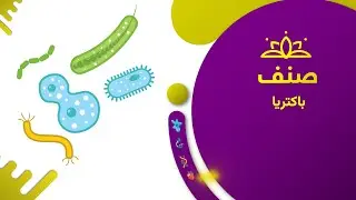 صنف - بیولوژی صنف هشتم- درس ۴: باکتریا