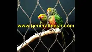 Generalmesh bird aviary netting,stainless steel aviary mesh, aviary wire fencing