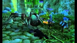 Action Nine News - Paladins vs Zul'Gurub