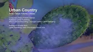 Urban Country - Felipe Adorno Vassao (Lynne Publishing)