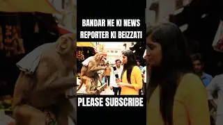 Bandar Ne ki news reporter ki beizzati #bablubannavlog #bablu #monkey #ai #vlog #news #funny #viral