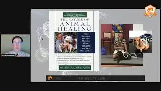 How PEMF Can Help Dogs, Cats and Other Small Animals