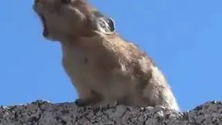 كلمة للشعب