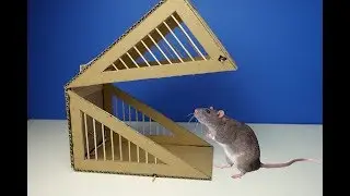 DIY Simple Rat Trap from Cardboard