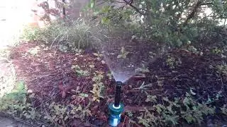 Orbit hard top sprinkler head