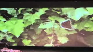 Coronado School of the Arts - Sight & Sound Songwriters Music Video Performance - CosaFoundation.org