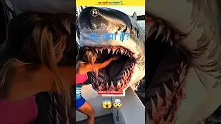 Duniya ki sabse khatarnak Shark: MEGALODON! 😱|| #Shorts||@Factoanit