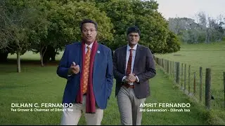 Across Australia & New Zealand with Tea and Purpose &ndash; Dilmah Family Tour