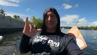 Kayaking in Key West at Lazy Dog (lobster, starfish, shark, paddleboard, kayak, crab, manatee)