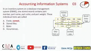 Section F Accounting Information Systems MCQ #03