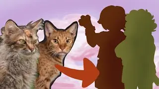 Cat Breeds As Humans 