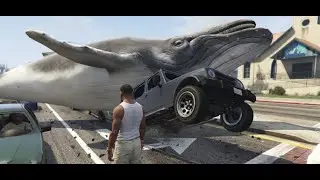 The Car Magnet