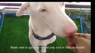 Pawspot pet toilet in India for dogs indoor, outdoor toilet with flush and drainage system