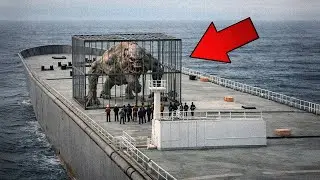 A GIANT HYBRID Creature Found on a Cargo Ship Near Egypt (This Was Hidden)