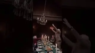 Chandelier Cat Chaos