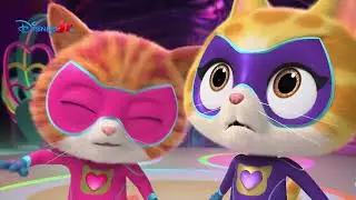 🐱 Laserul roșu | Super Pisicuțe | Disney Junior România
