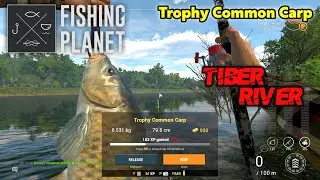 Trophy Common Carp Tiber River - Fishing Planet