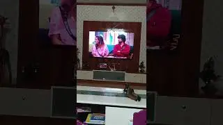 ooa Kang  reaction