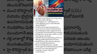 Lipid Profile Test Explained in Telugu -Heart Attack, Stroke Prevention Starts With This Blood Test