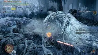 【MHWilds】9星鎖刃 超會心 充能斧/チャージアツクス測試