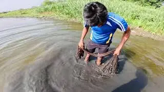 This Cast Net Throw Is So satisfying Fishing | Village Ponds Net fishing