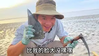 渔村生活么？是的！#在渔村的日子里 #记录我的农村生活 #大自然#赶海 #美食