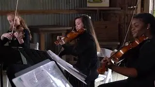 Home, Edward Sharpe & The Magnetic Zeros -The Sienna String Quartet