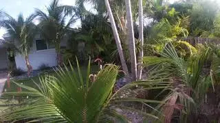 Club Riviera Key West house rental