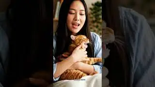 caring for injured and sick cats #cat #cutecat #sickcat #aadinakids #catlovers #catvideos