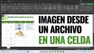 📷 Cómo INSERTAR UNA IMAGEN dentro de UNA CELDA sin la función IMAGEN de Excel 📥 🖼️