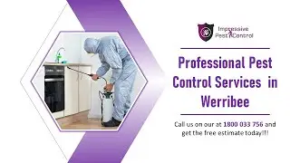 Professional Pest Control Services Werribee | Impressive Pest Control
