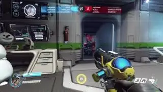 Mei snowball