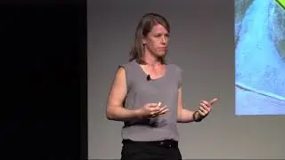 What's Your Frame | Jennifer Willis | TEDxCushingAcademy