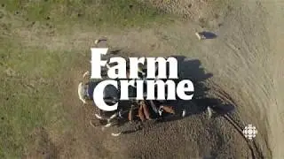 Farm Crime (2018) | Ep. 5: Black Market Butcher | Trailer