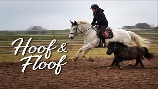 Pferdearbeit & Hofalltag &ndash; Willkommen bei Hoof & Floof