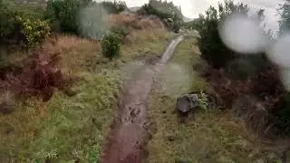 First ride of the year 2026 MTB-Madeira Island 