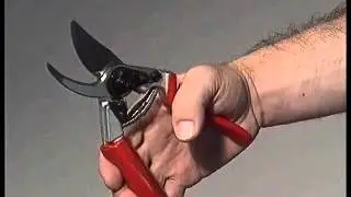 Accion Felco 7-10-12.wmv