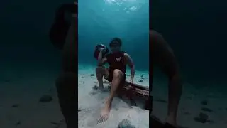 FREEDIVE FUNDIVE 🤿