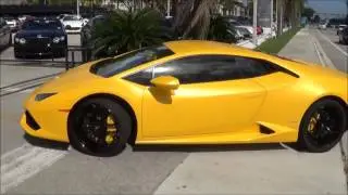Alonso Alonso The Bitcoin King Here Comes The Money