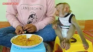 Lovely Mom Cooking Fried Eggs With Carrot And Taro Yummy For Monkey Kako
