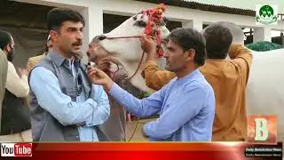 Sibi Mela 2022 A Living History
