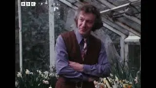Daffodil breeding (unintentional ASMR)