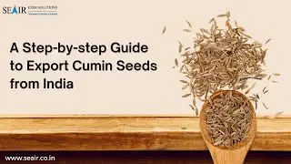 A Step-by-step Guide to export cumin seeds from India