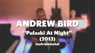 Andrew Bird 