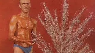 Two Idiots Try to Build a Christmas Tree in Minecraft