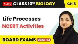 Life Processes - NCERT Activities (Part 1) | Class 10 Biology Chapter 5 (LIVE)