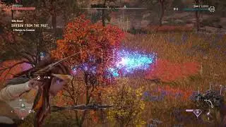 Machine Hunting