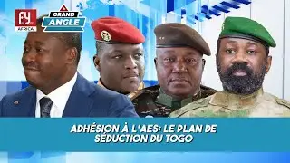 MEMBERSHIP OF THE AES: TOGO'S SEDUCTION PLAN