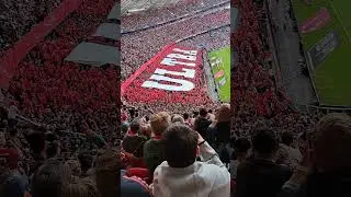 Allianz Arena atmosphere, Bayern Munich