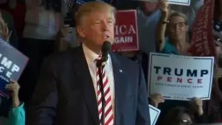 President Trump on Term Limits on Congress